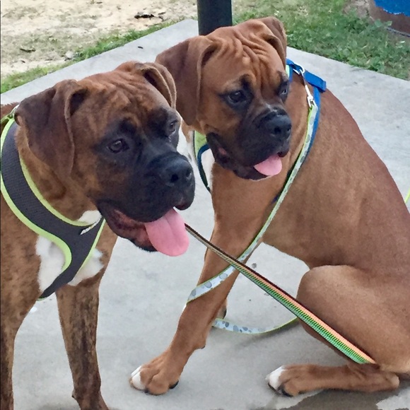 Meet your Posher, Nikkie - Picture 6 of 7